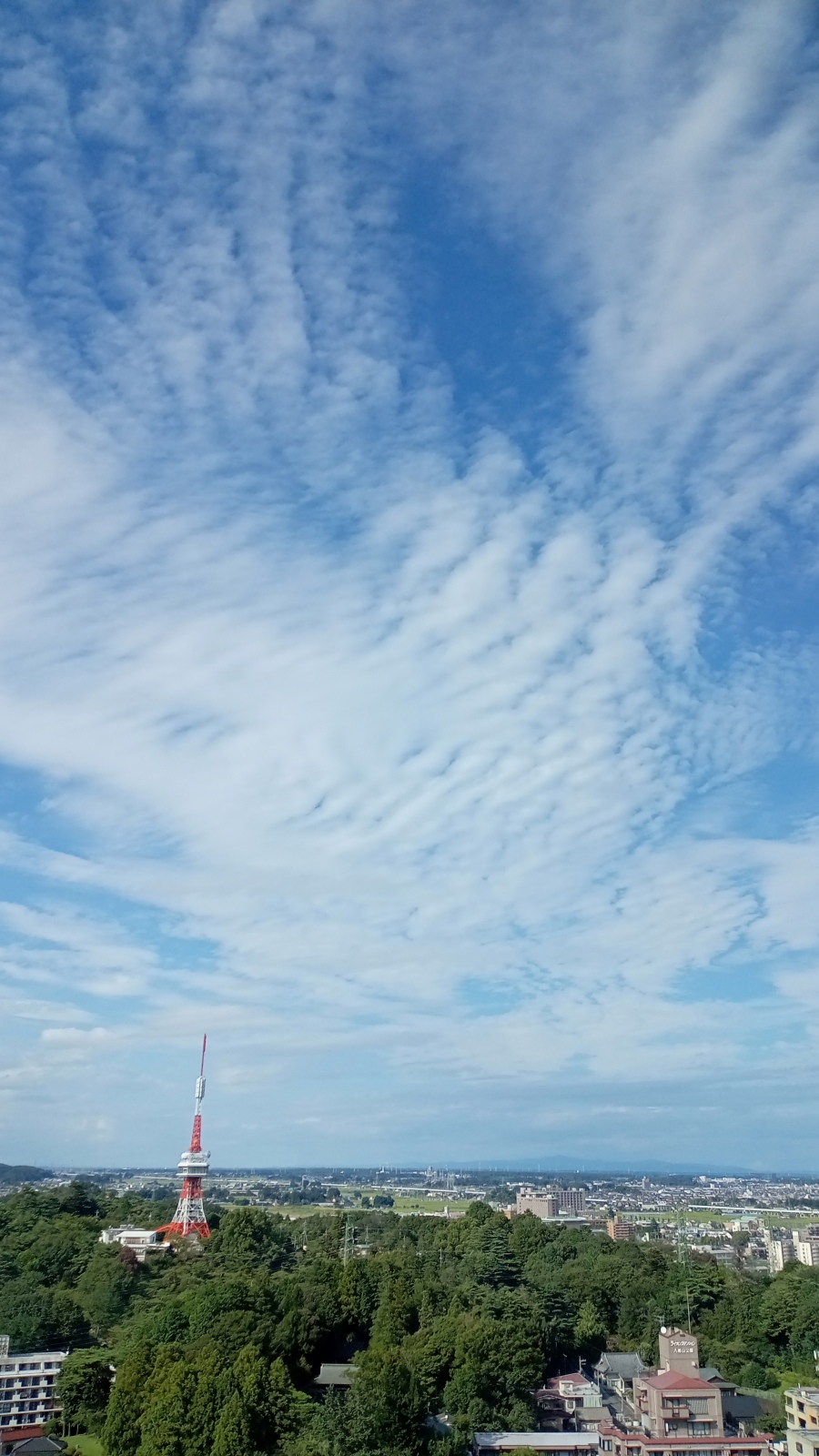 ̓hCu