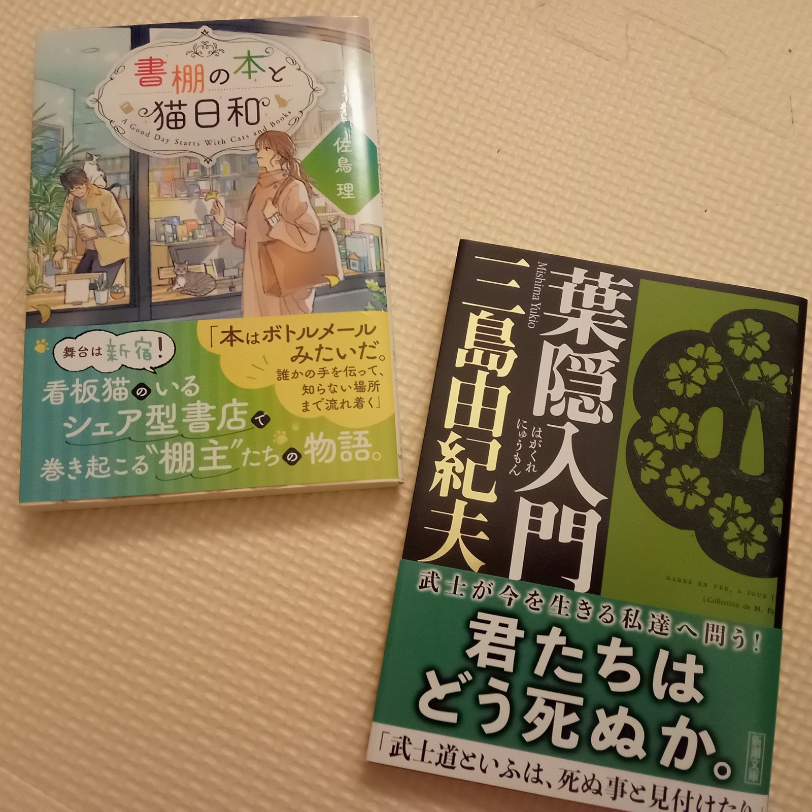 �O�L����